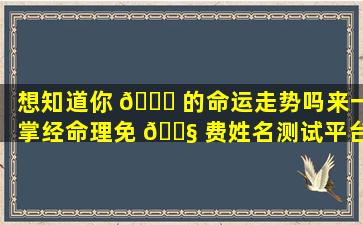 想知道你 🍀 的命运走势吗来一掌经命理免 🐧 费姓名测试平台！